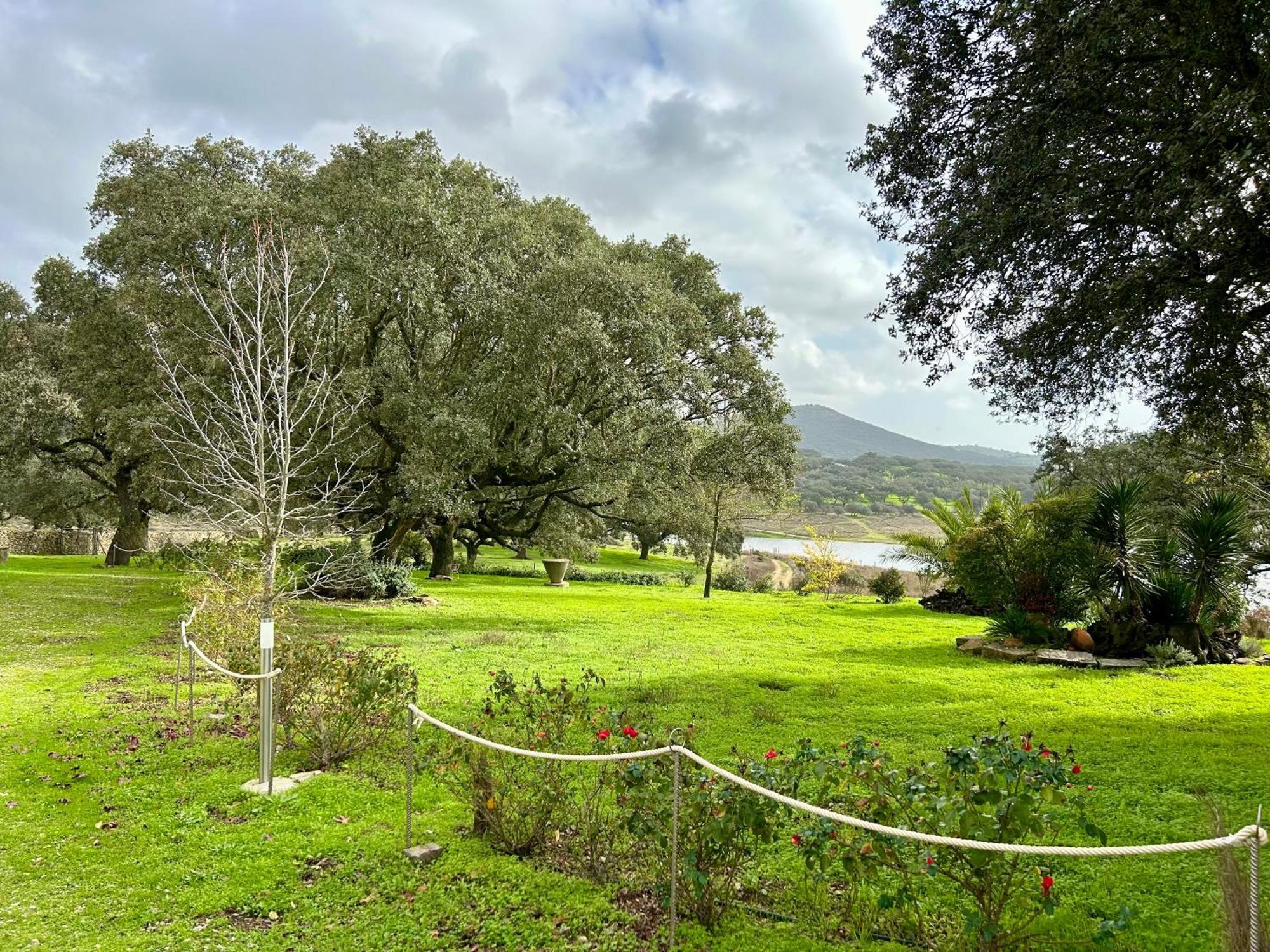 Casa Rural Alcornocalejo Monesterio Exteriér fotografie
